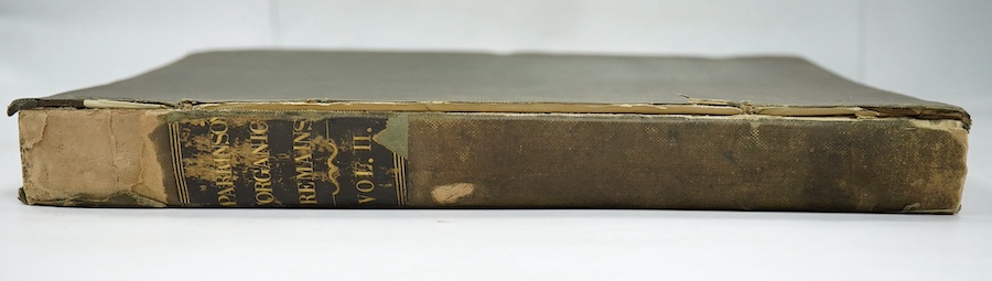 Parkinson, James - Organic Remains of a Former World. An Examination of the Mineralised Remains of the Vegetables and Animals of the Antediluvian World; Generally Termed Extraneous Fossils, 1st edition, vol. 2 (of 3), 4t